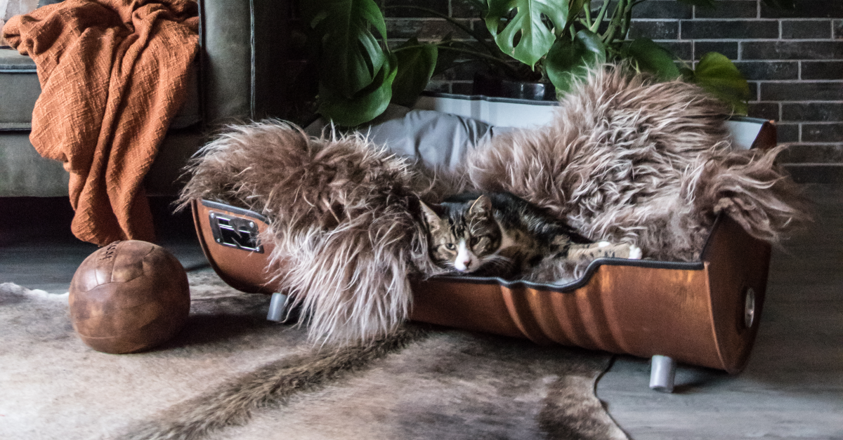 Kattenmand gemaakt van een olievat