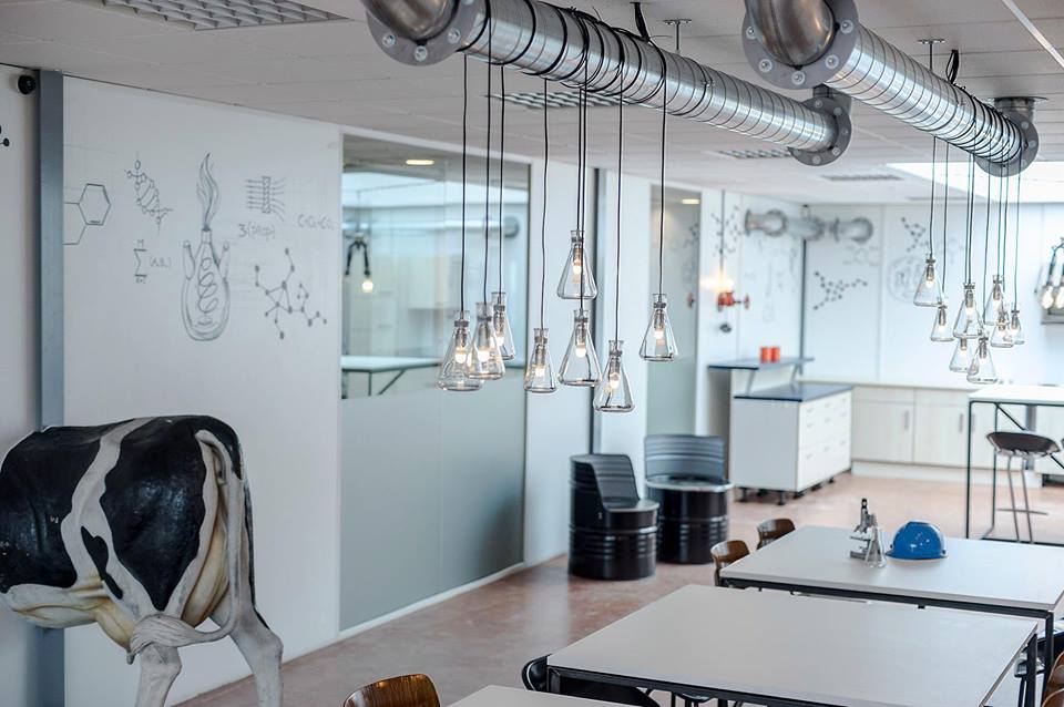 Conceptontwikkeling en projectinrichting