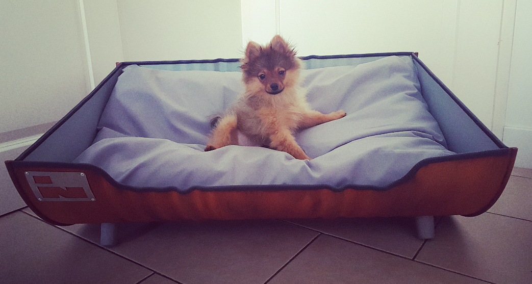 Hondenmand Puppy