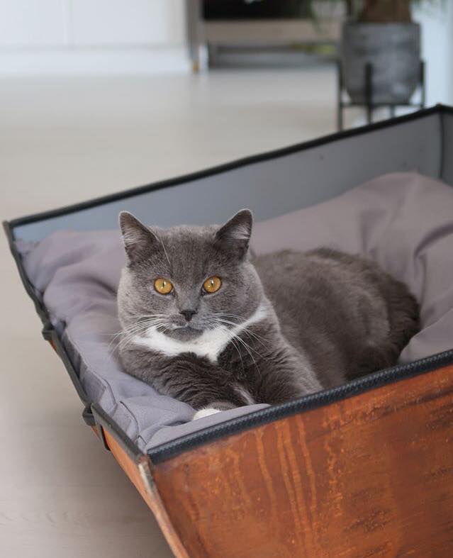 Kattenmand