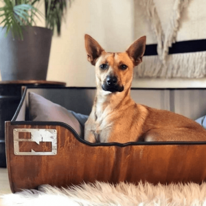Stoere Hondenmand Stoere Hondenmand